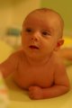 104-PICT0815.JPG.small.jpeg