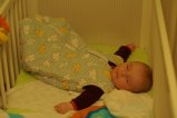 144-PICT1129.JPG.small.jpeg