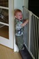290-PICT2174.jpg.small.jpeg