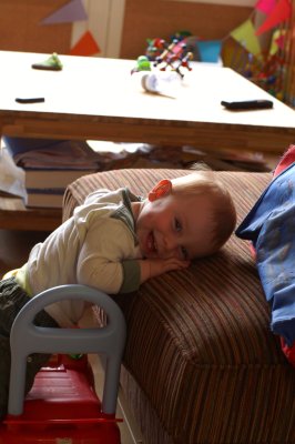 311-PICT2289.jpg.medium.jpeg