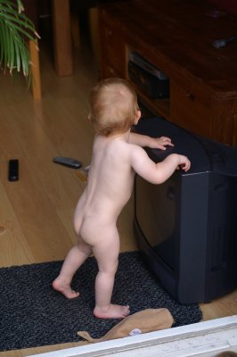 321-PICT2328.jpg.medium.jpeg