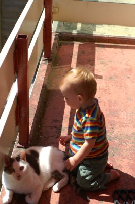 329-PICT2367.jpg.medium.jpeg