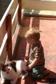 329-PICT2367.jpg.small.jpeg